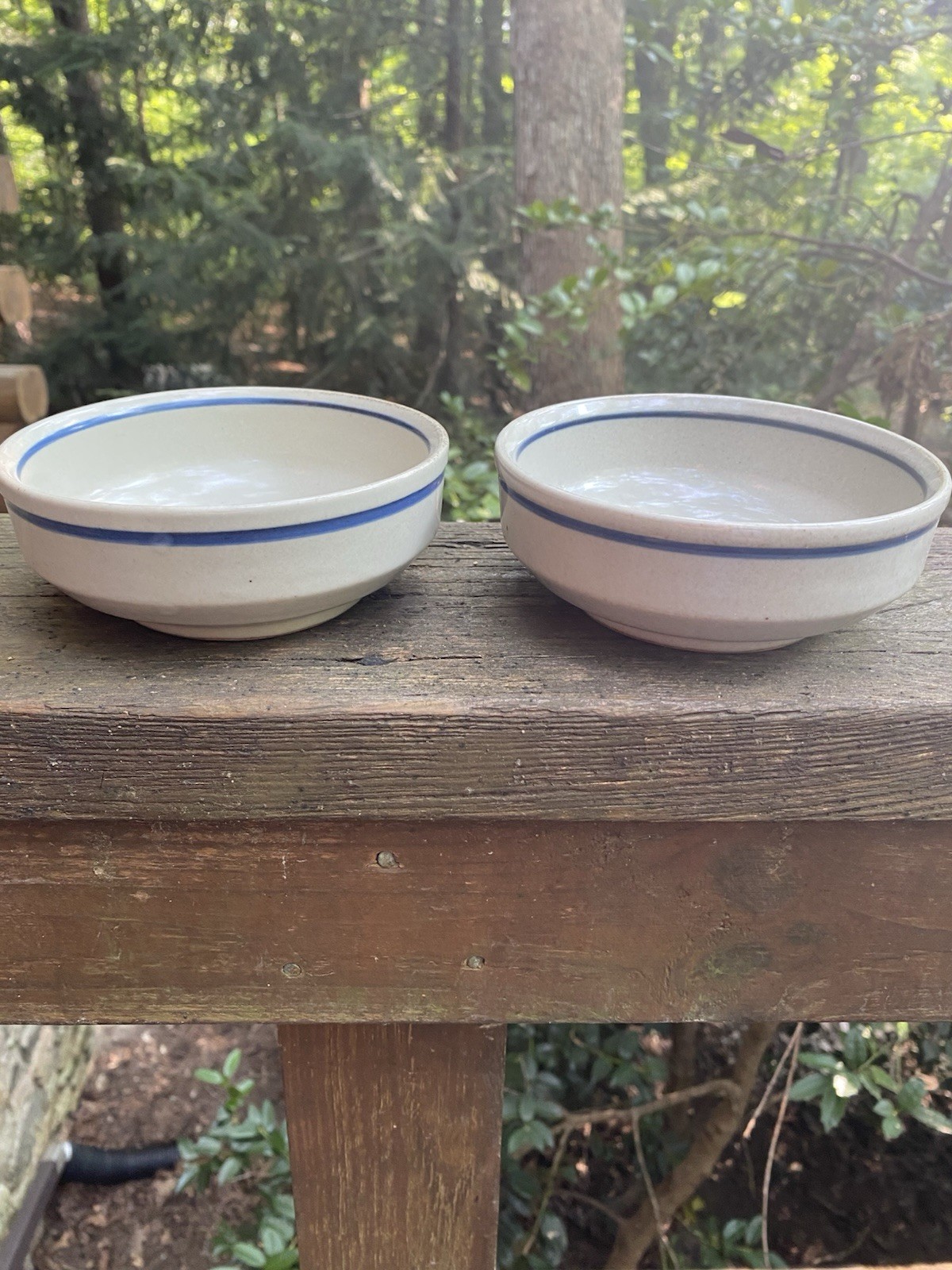 Iron Mountain Stoneware Huckleberry 5 1/4” Berry Bowls (2)