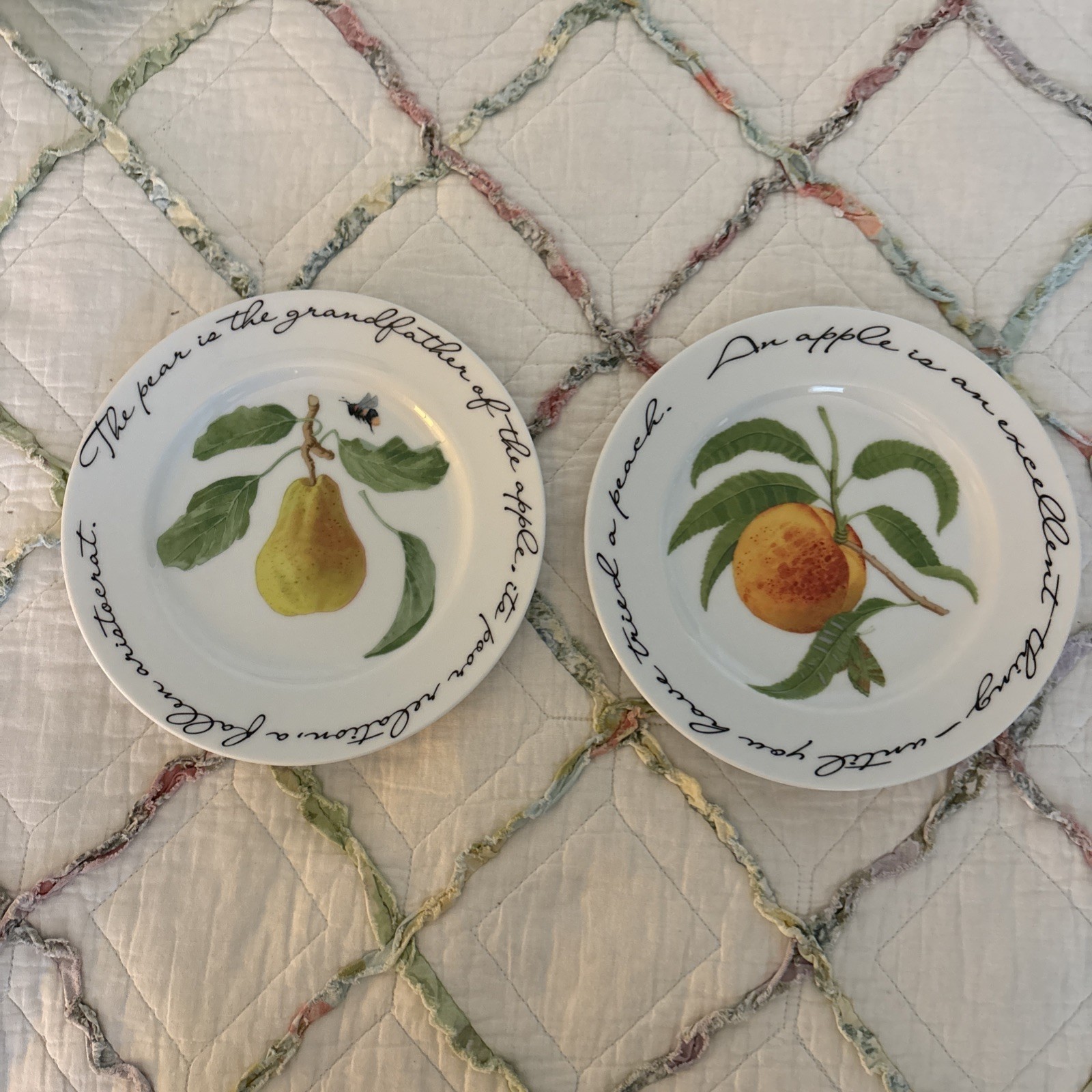 2 Williams Sonoma Orchard Suite Fruit Dessert Snack Or Luncheon Plates ~ 8”