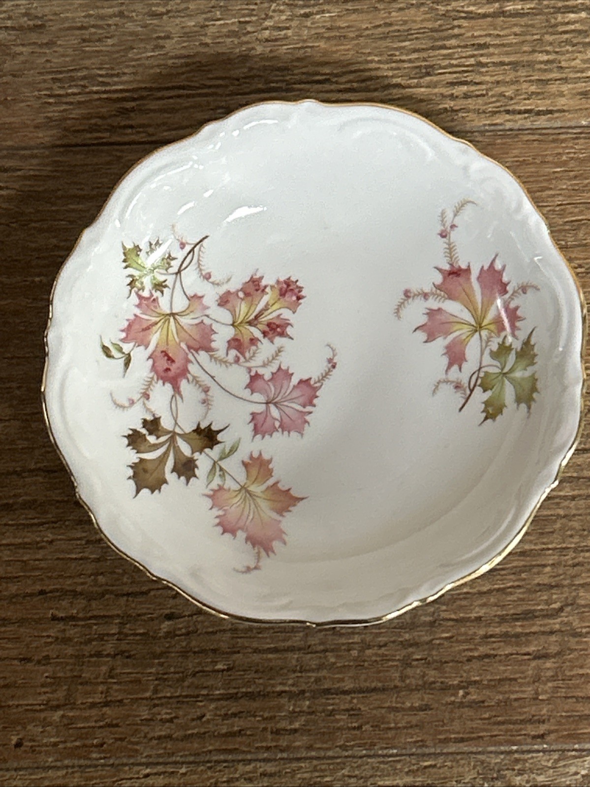 Mitterteich Bavaria Tea Coffee Cup Saucer Autumn Leaves Gold Pink Footed