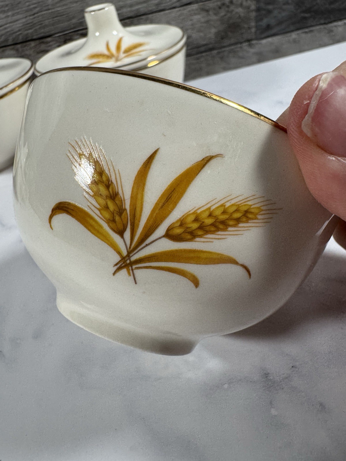 Taylor Smith Taylor Wheat Sugar Bowls Set of 4 Lidded Soup Bowls 1950s