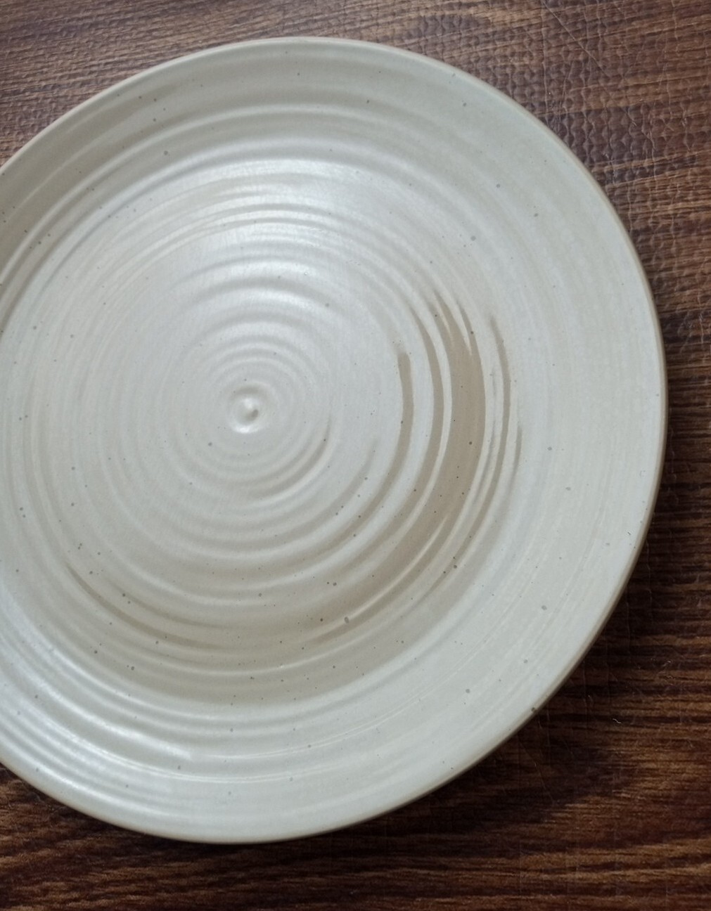 Sango China Plate 10 3/4″ Beige Dinner Plate