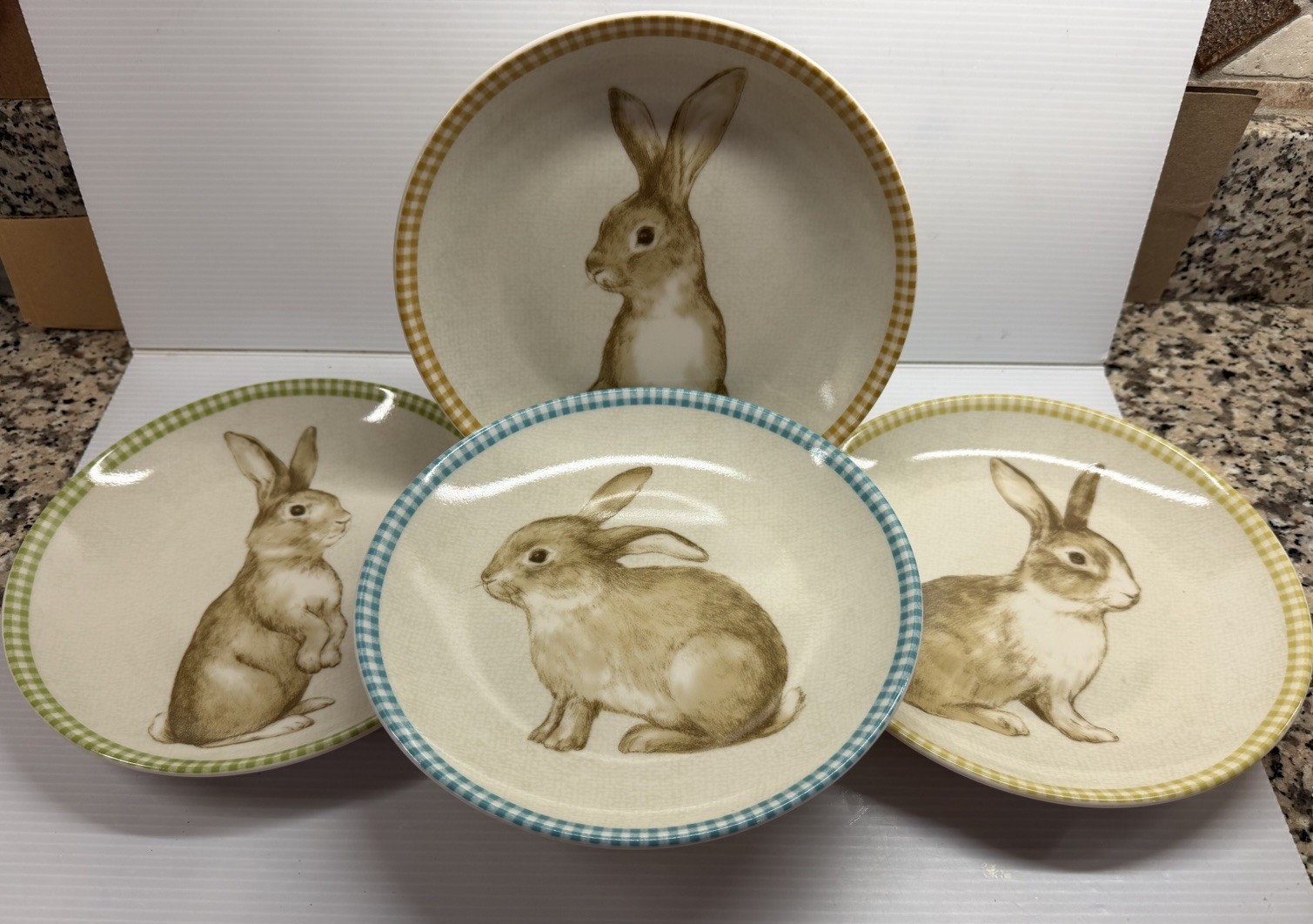 222 Fifth Bunny Land Rabbit Gingham Edge Easter Salad Plates 8” Set Of 4 New