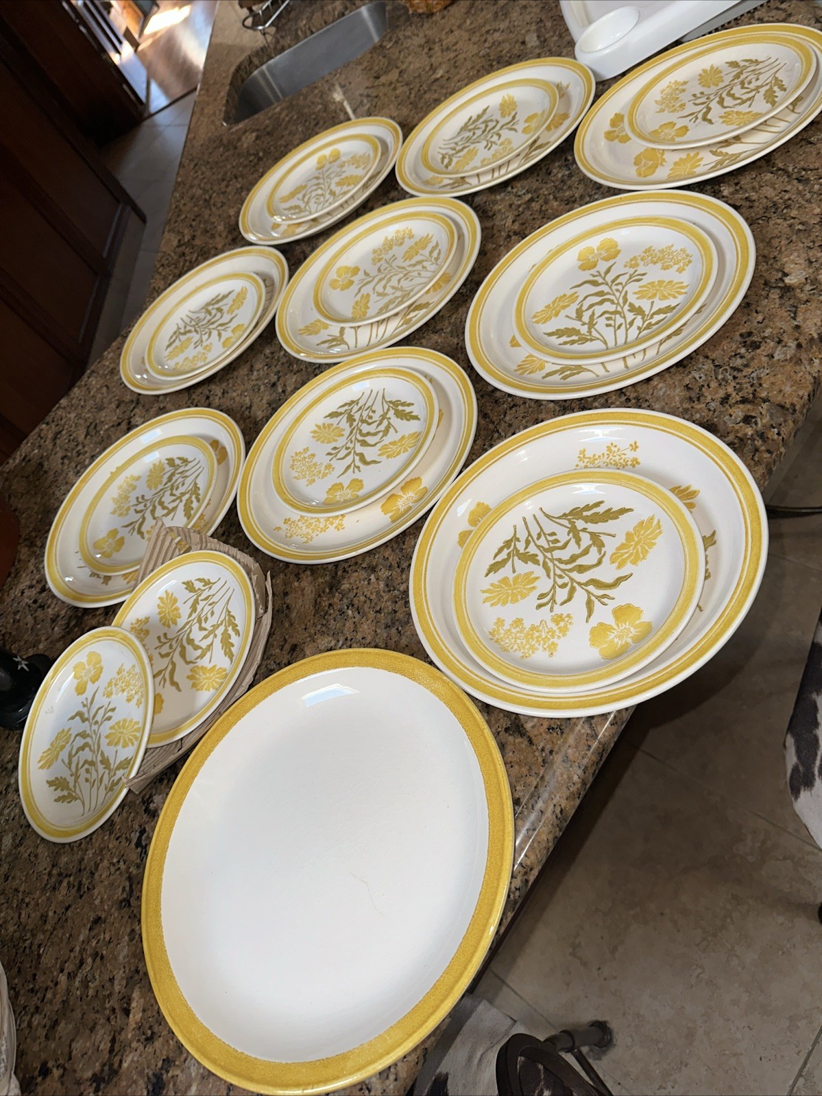 Vntg JAMESTOWN CHINA IRONSTONE YELLOW FLOWERS DINNER & Salad Plates 21 Pcs G1