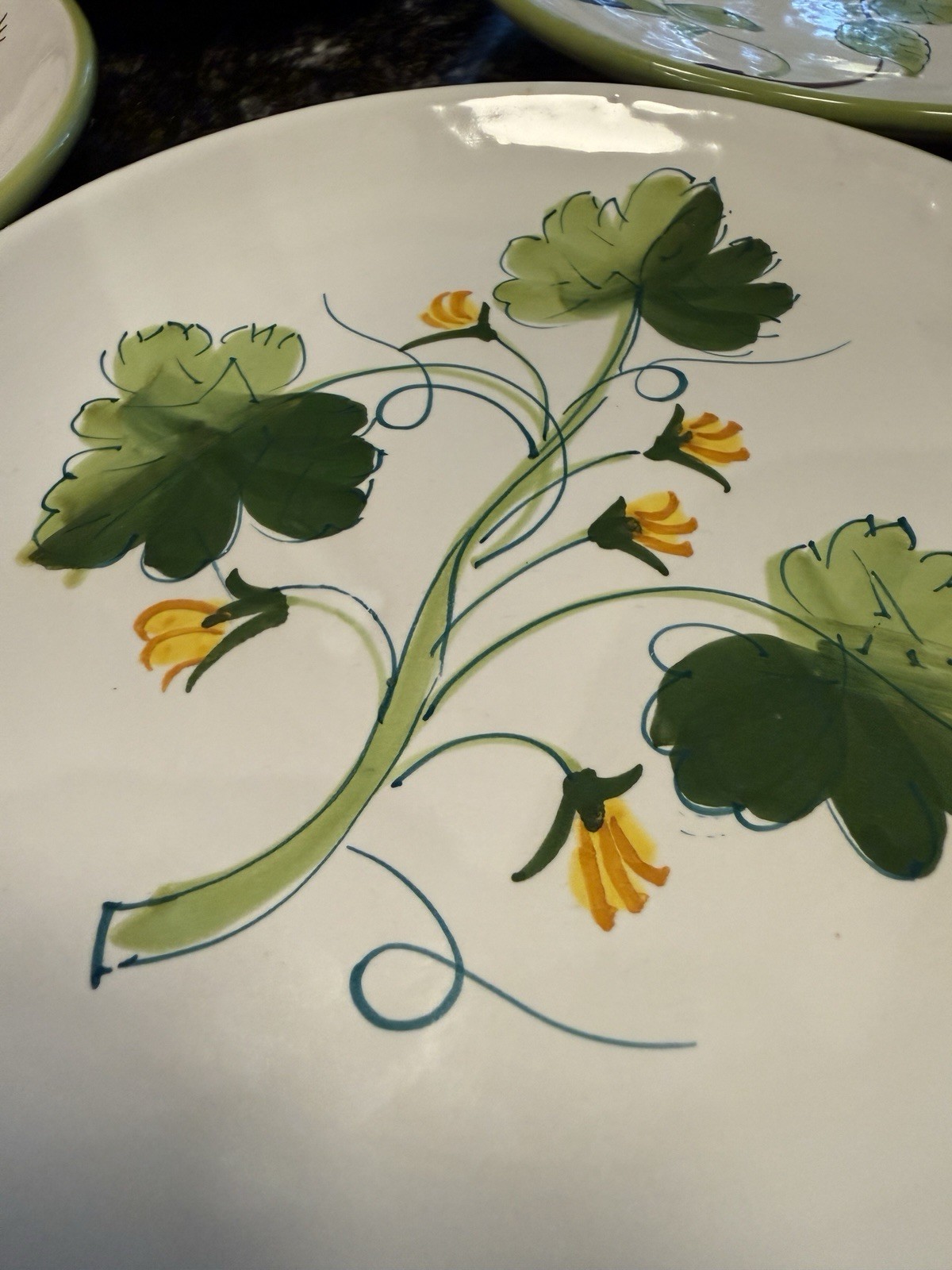VTG La Primula Italy Decorata a Mano Botanical Salad Plates 7.75” Set of 6