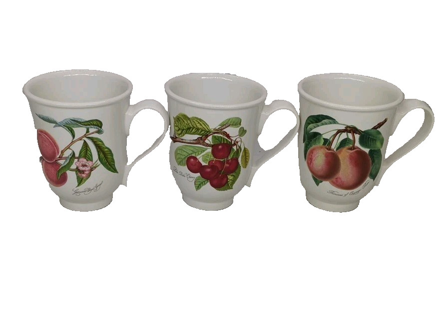 3 Portmeirion “Pomona” Large Mugs by Susan Williams-Ellis ~ Footed English Mugs