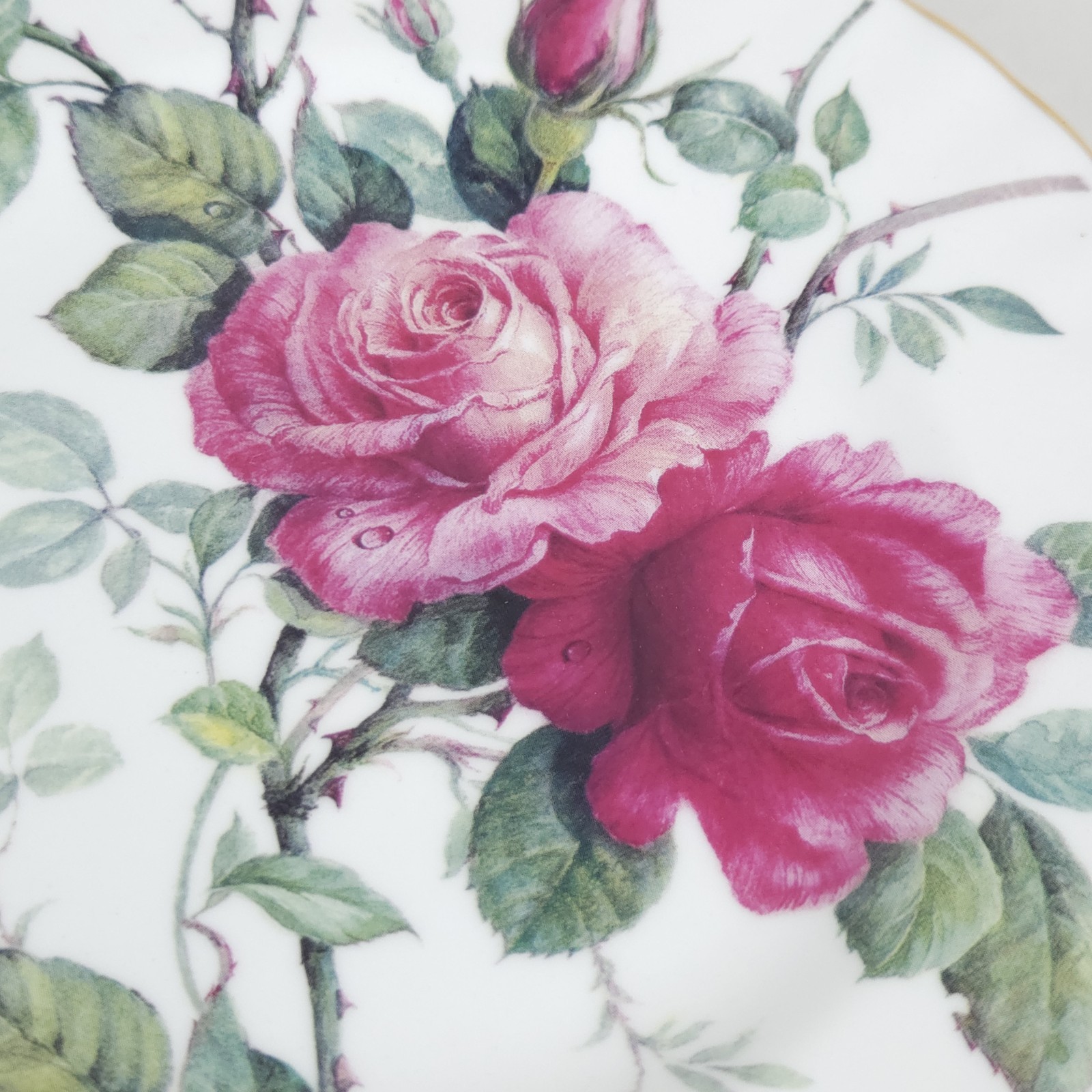 Vtg Roy Kirkham English Rose Salad Plate 8″ Floral Gold Rim Shabby Replacement 2