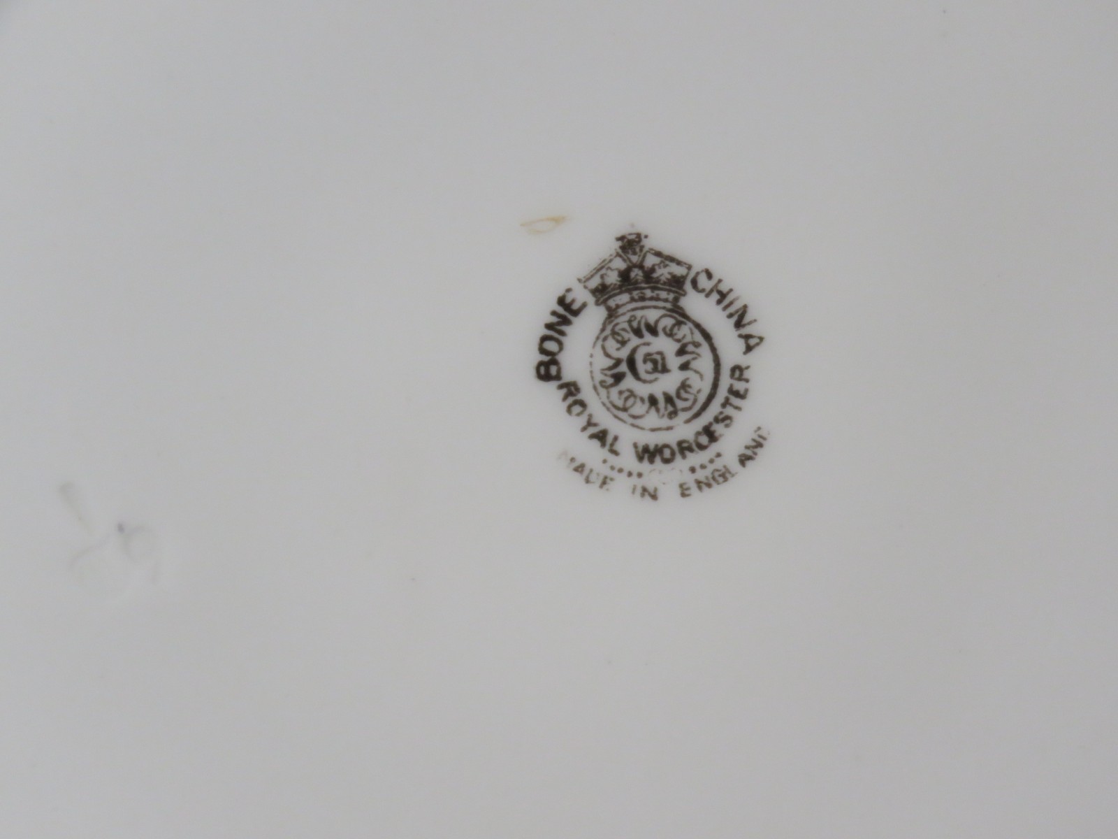 8 Royal Worcester 9″ Bone China Botanical Style Plates Signed E. Townsend