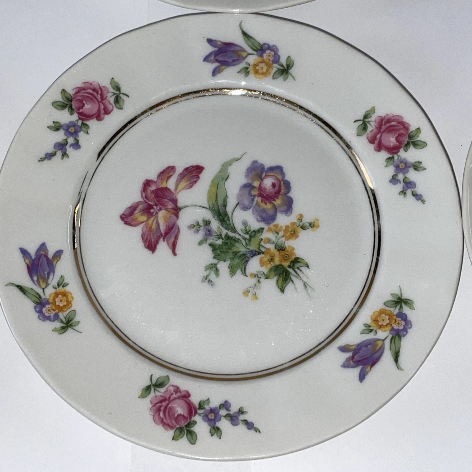 Raynaud Limoges Dresden Floral Style 6 bread dessert Plates 6 1/4” Gimbel bros.