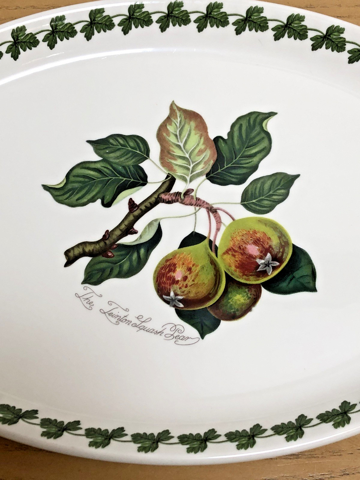 PORTMEIRION fire & ice pomona The Teinton SQUASH PEAR 9 x 13 Oval Steak Platter