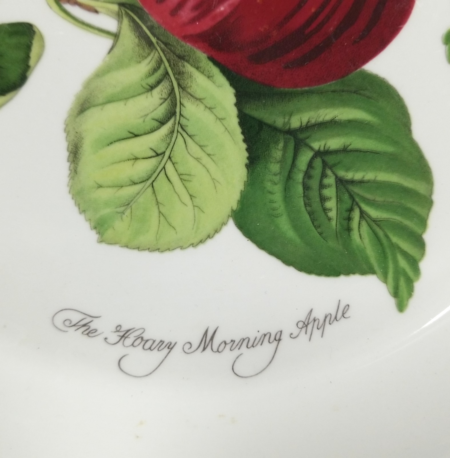 Pomona Portmeirion England Pie Plate The Hoary Morning Apple Round 10.5″