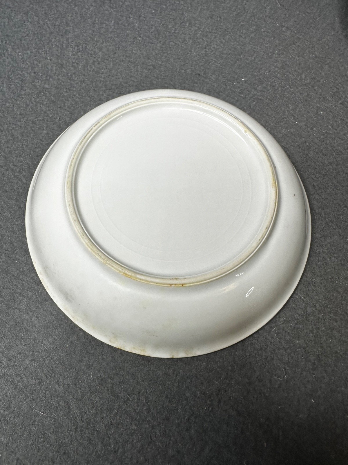 Vintage Set of (11) Hand Painted Thomas S Bavaria 7.5″ Bread Plates
