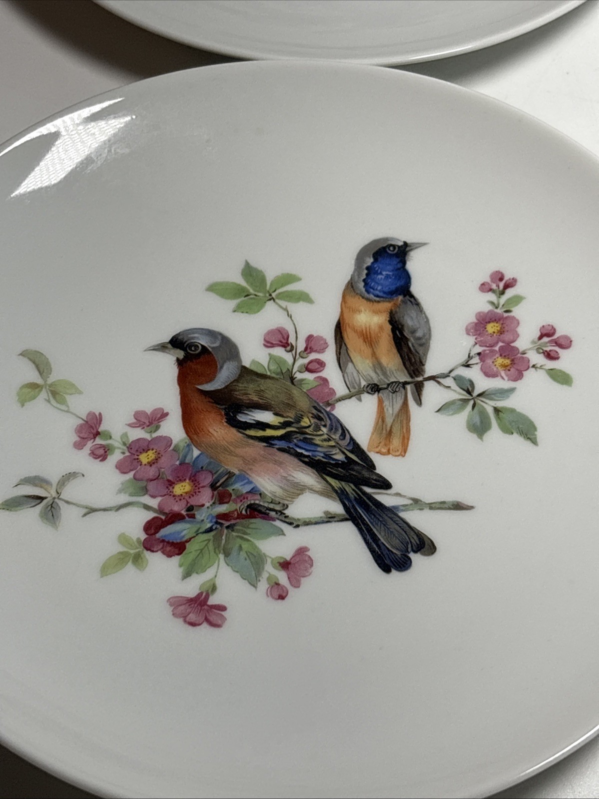 6 Vintage Hand Painted Bird & Floral Porcelain 7 3/4Wall Plates Kaiser W Germany