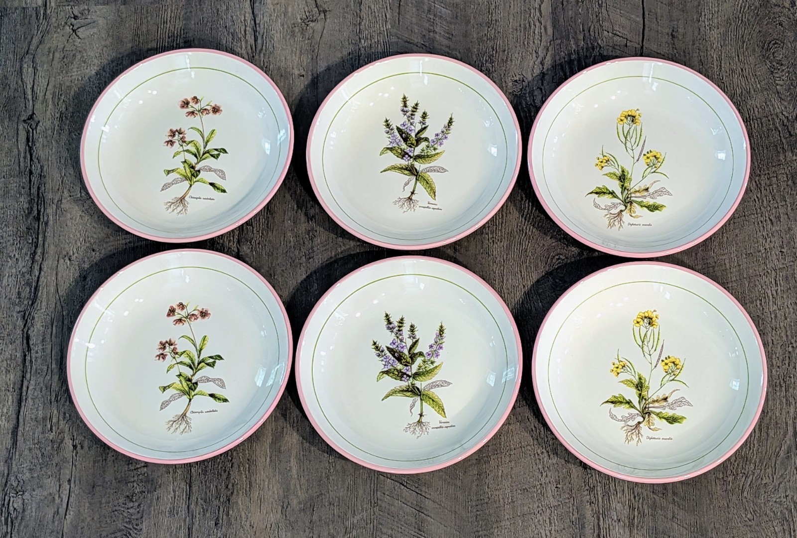 Primula Vintage Salad Plates Made in Italy Lot of 6 Botanical Floral 8″ Pink Rim