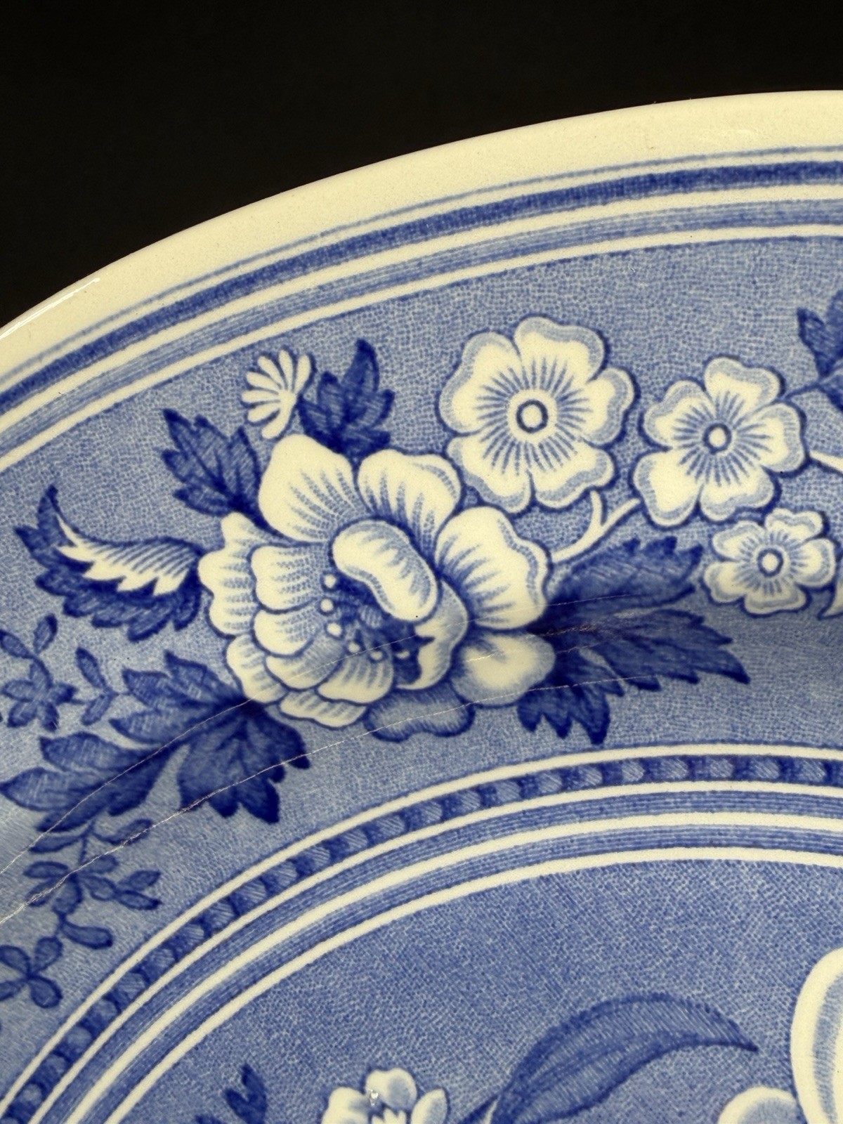 The Spode Blue Room Collection “Botanical” Plate Made In England 10.5″