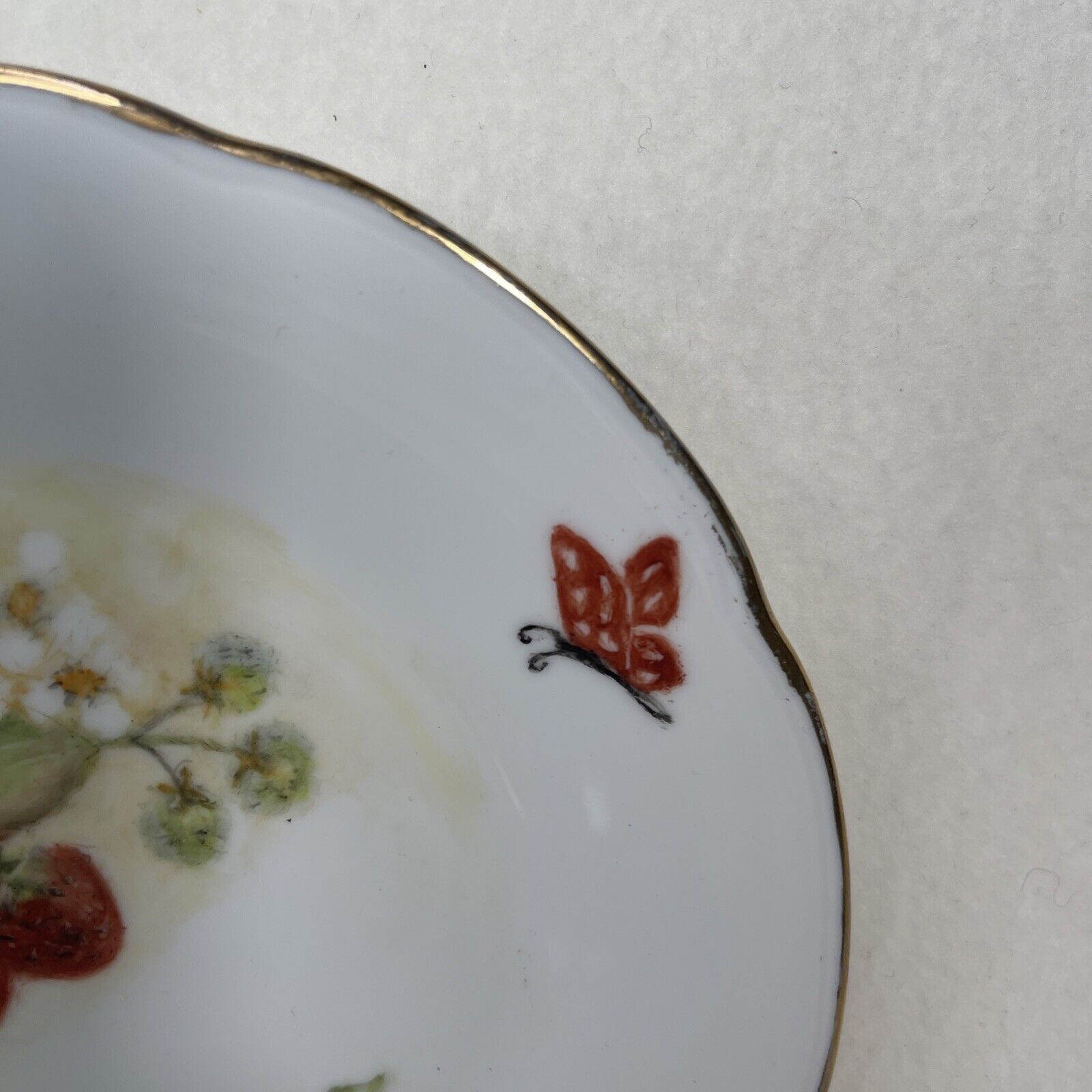 Coalport England Bone China Salad Plate, Smooth Edge 8 1/8 Inches