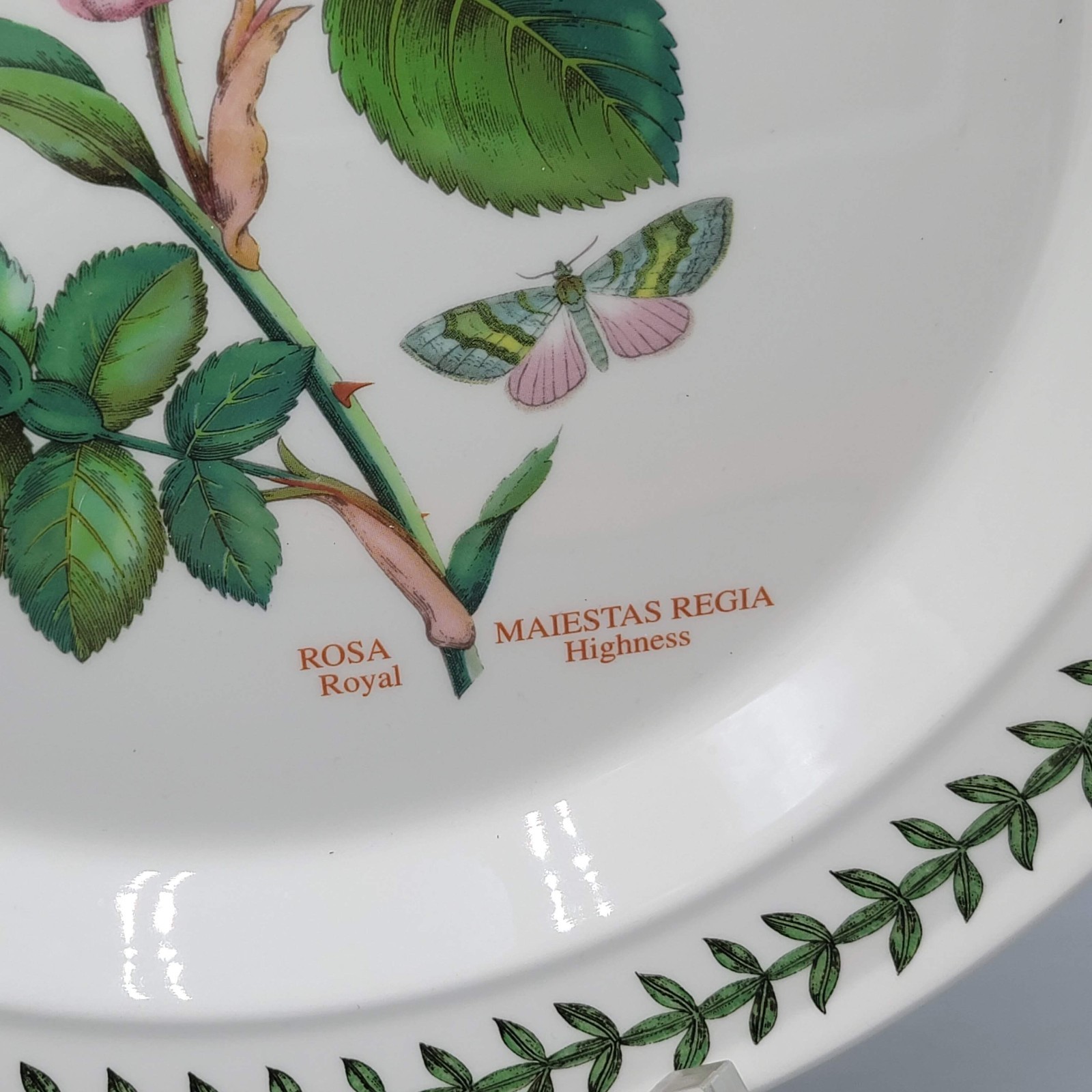 PORTMEIRION BOTANIC ROSES ROYAL HIGHNESS BUTTERFLY 10 1/2″ DINNER PLATE