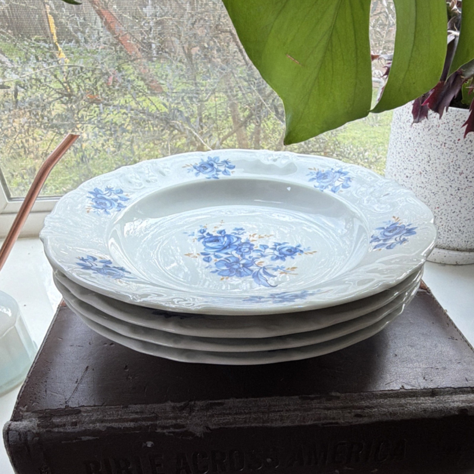 Winterling Germany Blue Floral Porcelain Soup Plates Four-Piece Set