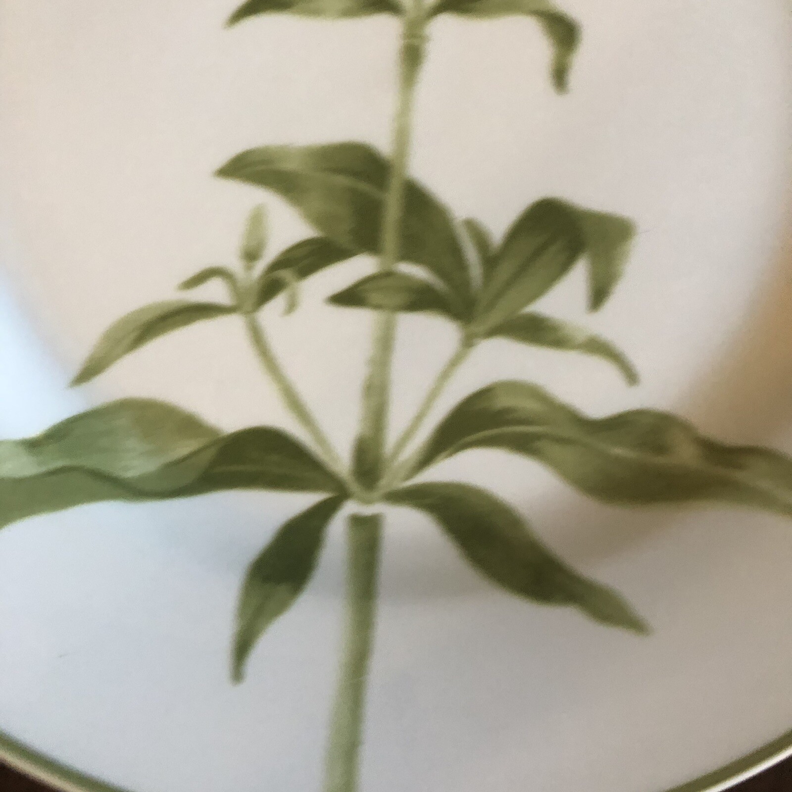 Fairfield Garden Verbena Dinner Plate 10.25″ 1 Of 6 Sold Separately