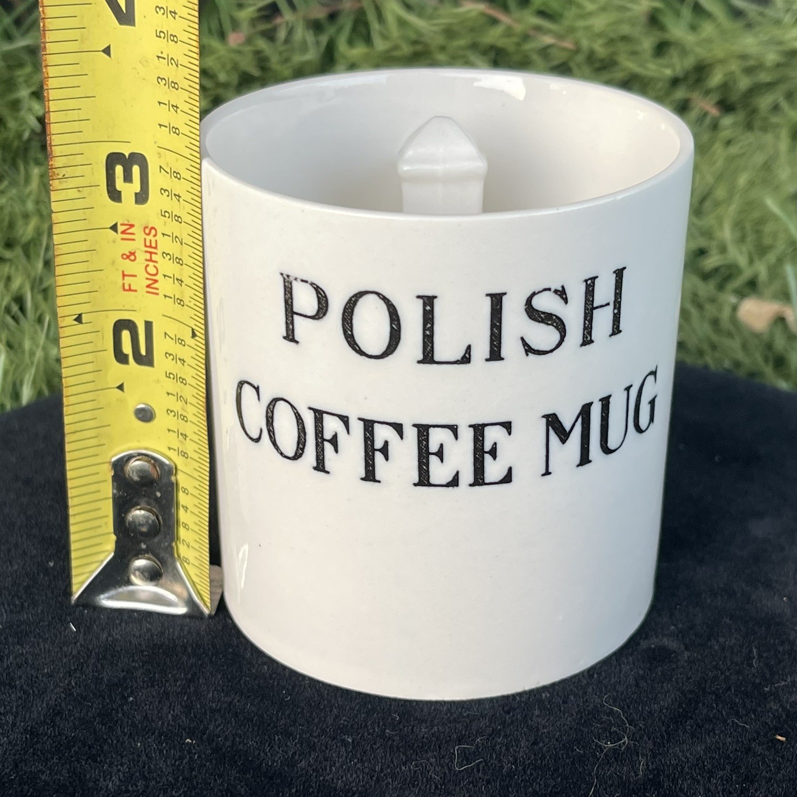 VTG Polish Humor Ceramic Pottery 10oz. Coffee Mug Joke Made In Japan Funny