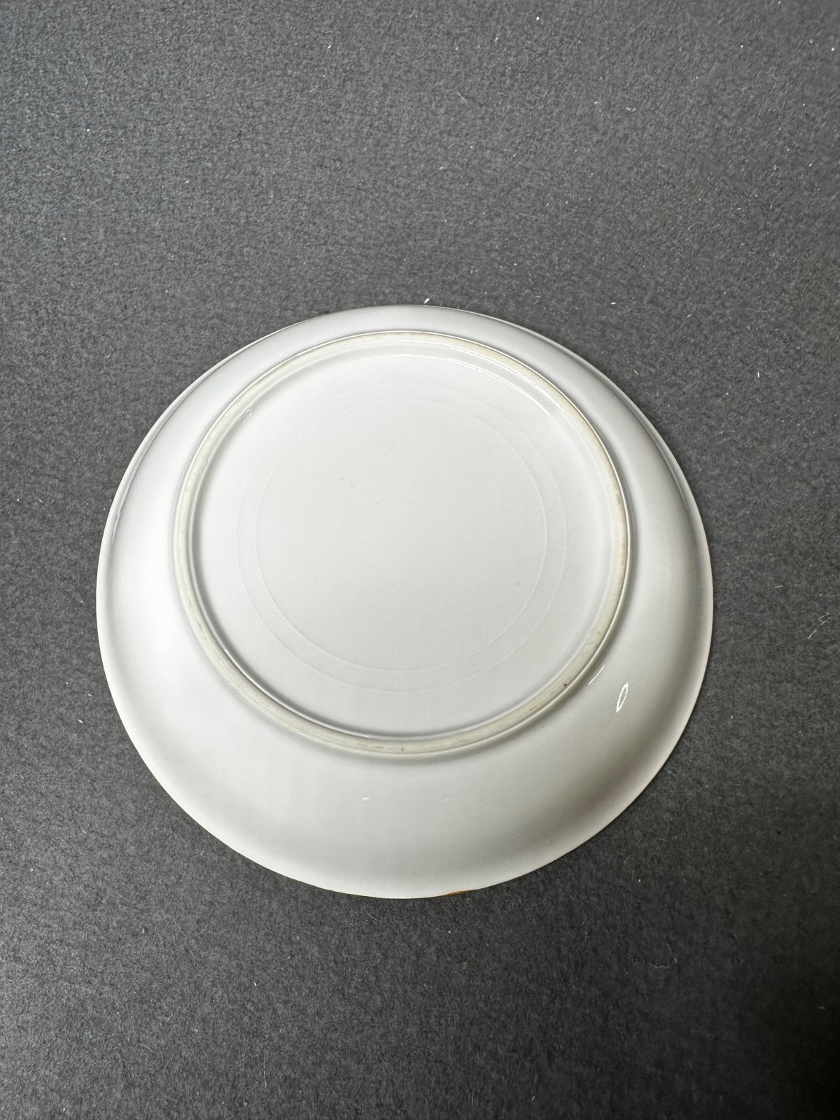 Vintage Set of (11) Hand Painted Thomas S Bavaria 7.5″ Bread Plates