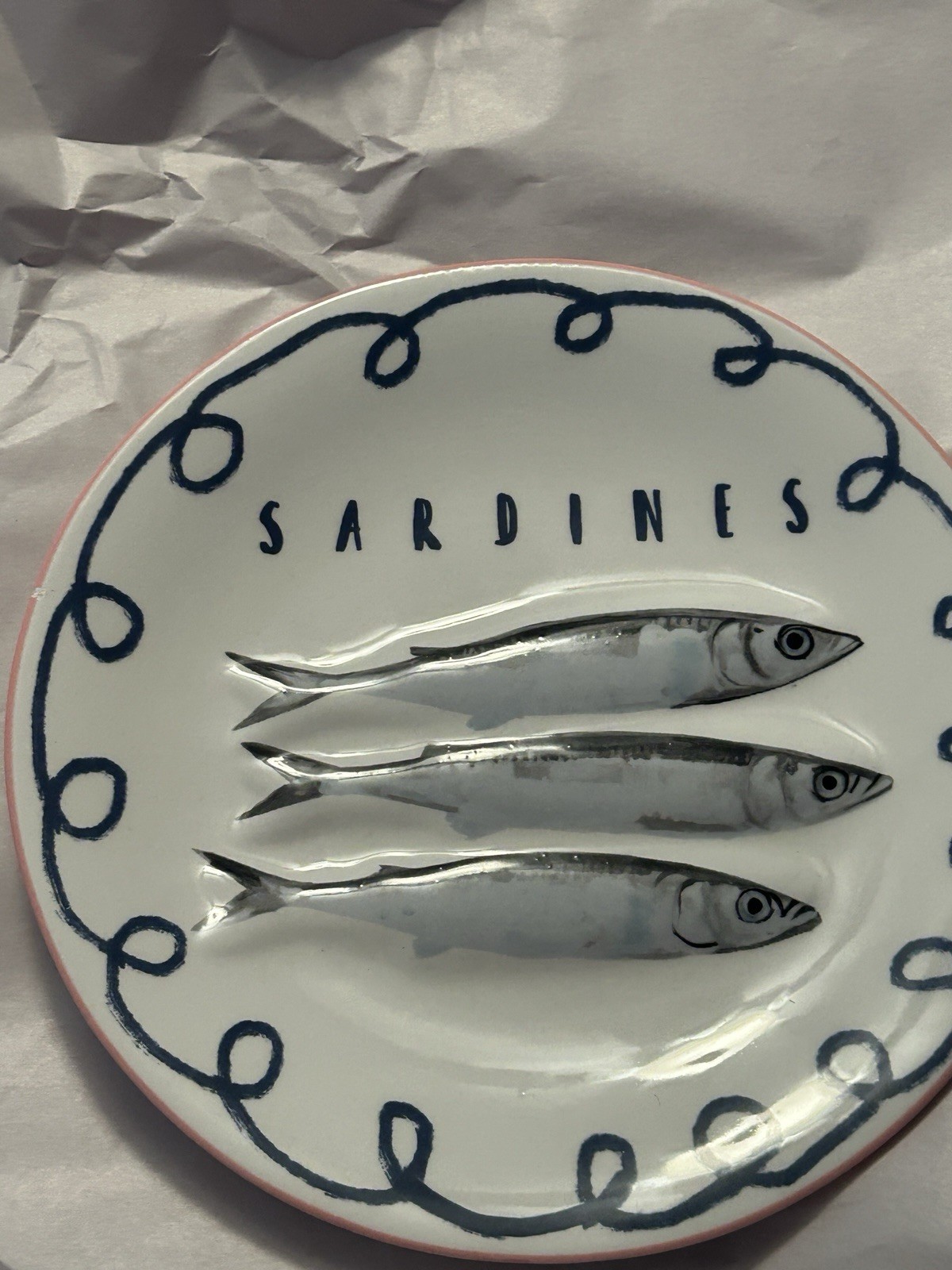 Potter’s Studio SARDINES Salad Serving Plate Nautical Fish Summer NEW