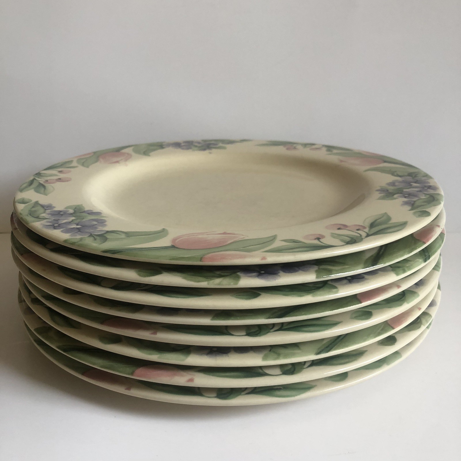 Pfaltzgraff Garden Party Impressions Dinner Plate 10.5″ Sold Separate 8 Availabl