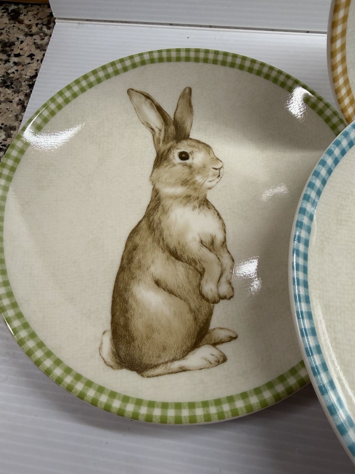 222 Fifth Bunny Land Rabbit Gingham Edge Easter Salad Plates 8” Set Of 4 New