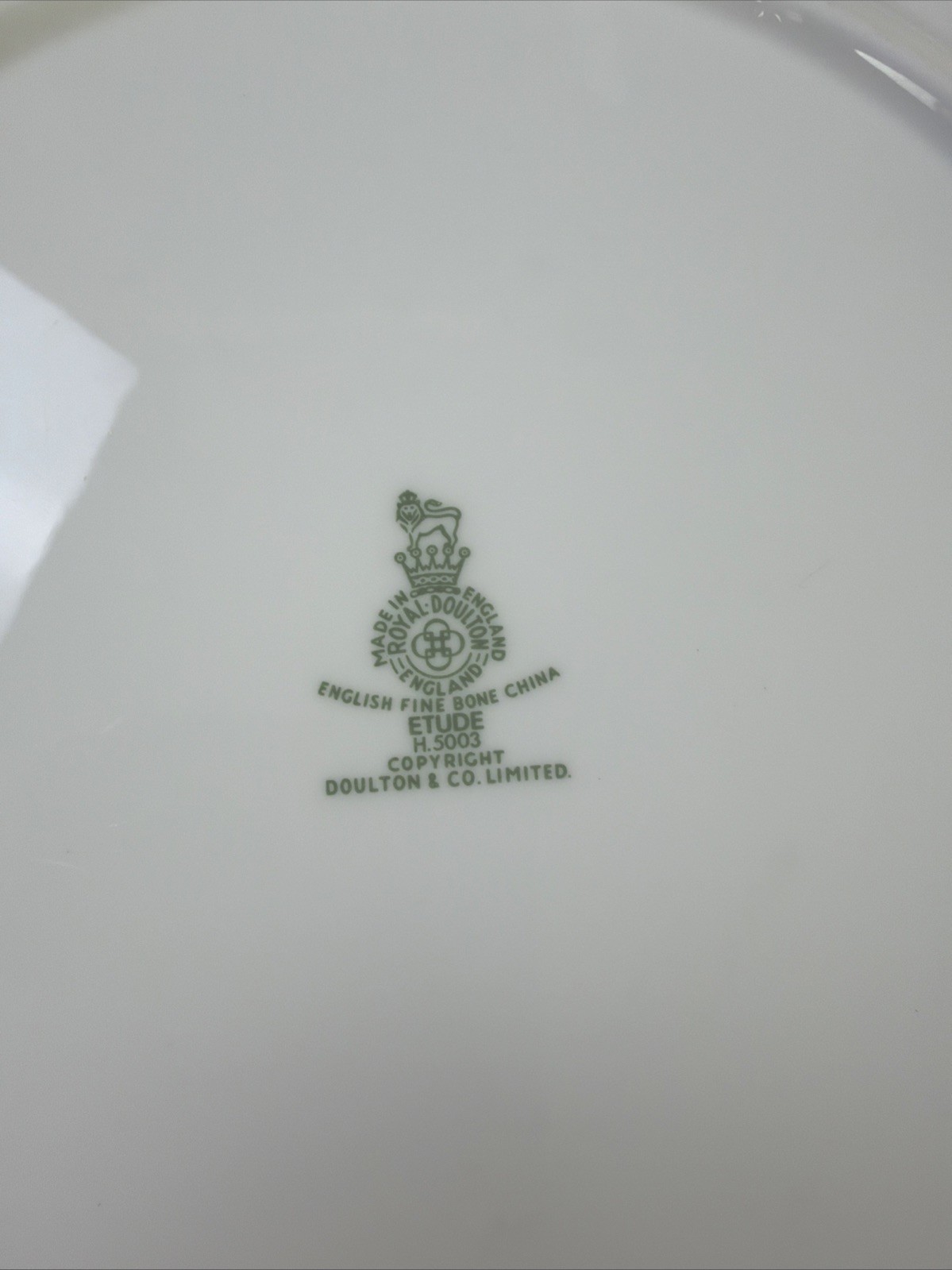 Royal Doulton ETUDE Pattern Dinner Plate H5003 English Bone China 10 1/2”