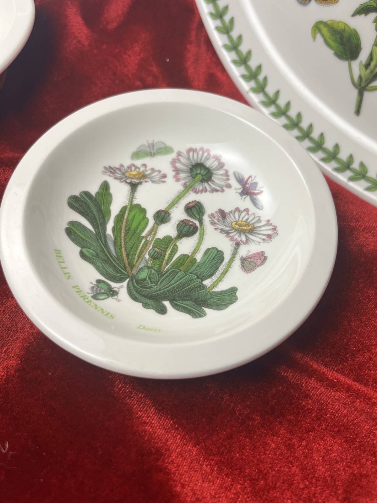 Portmeirion Botanic Garden Lot (4) Pc Set 2 Oval Plates 2 Saucer Dip Plates
