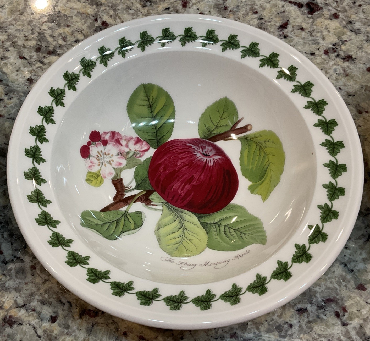 PORTMEIRION Set of 6 POMONA Rimmed Oatmeal Bowls – 6.5 in Made In England NWT