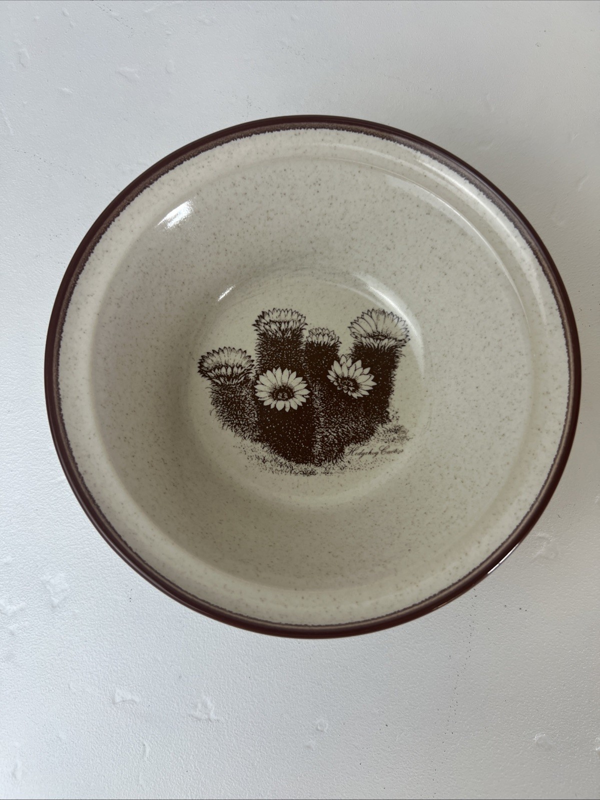 Noritake Stoneware DESERT FLOWERS 8341 Rim Cereal Bowl 6 1/2 1 ea