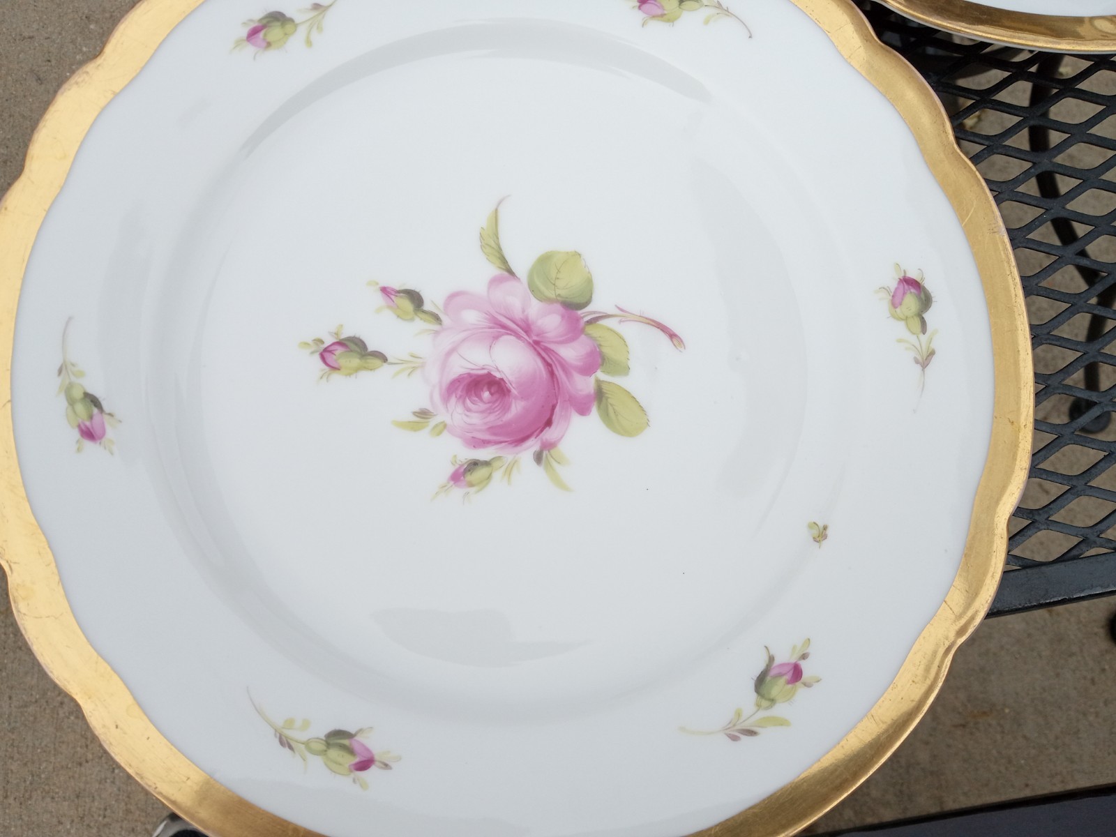 12 Antique Helena Wolfsohn DRESDEN ROSE Porcelain Dinner Plate OVINGTON BROS NY