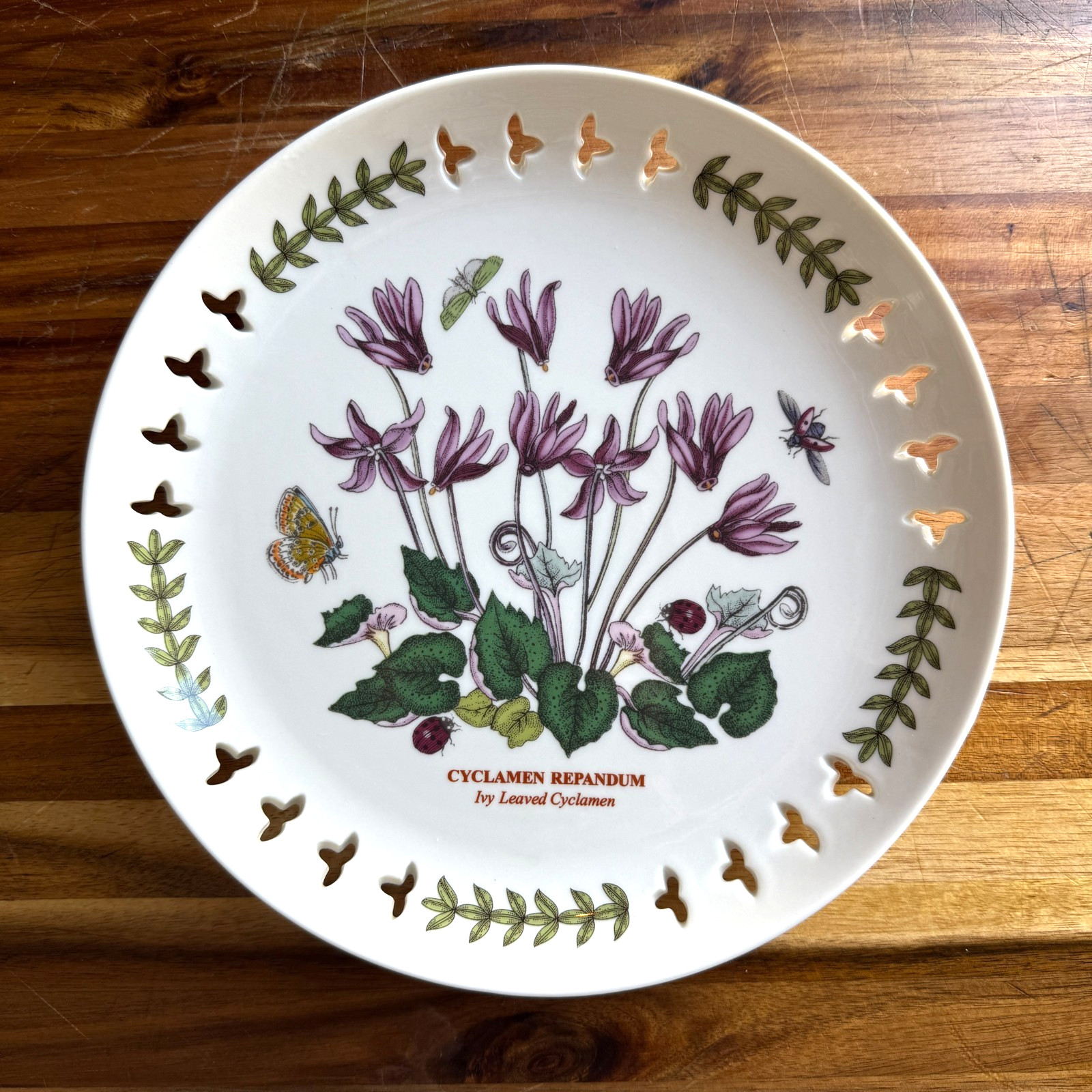 Botanic Garden by Portmeirion Rare Pierced Edge 8.5″ plate-Ivy Leaved Cyclamen
