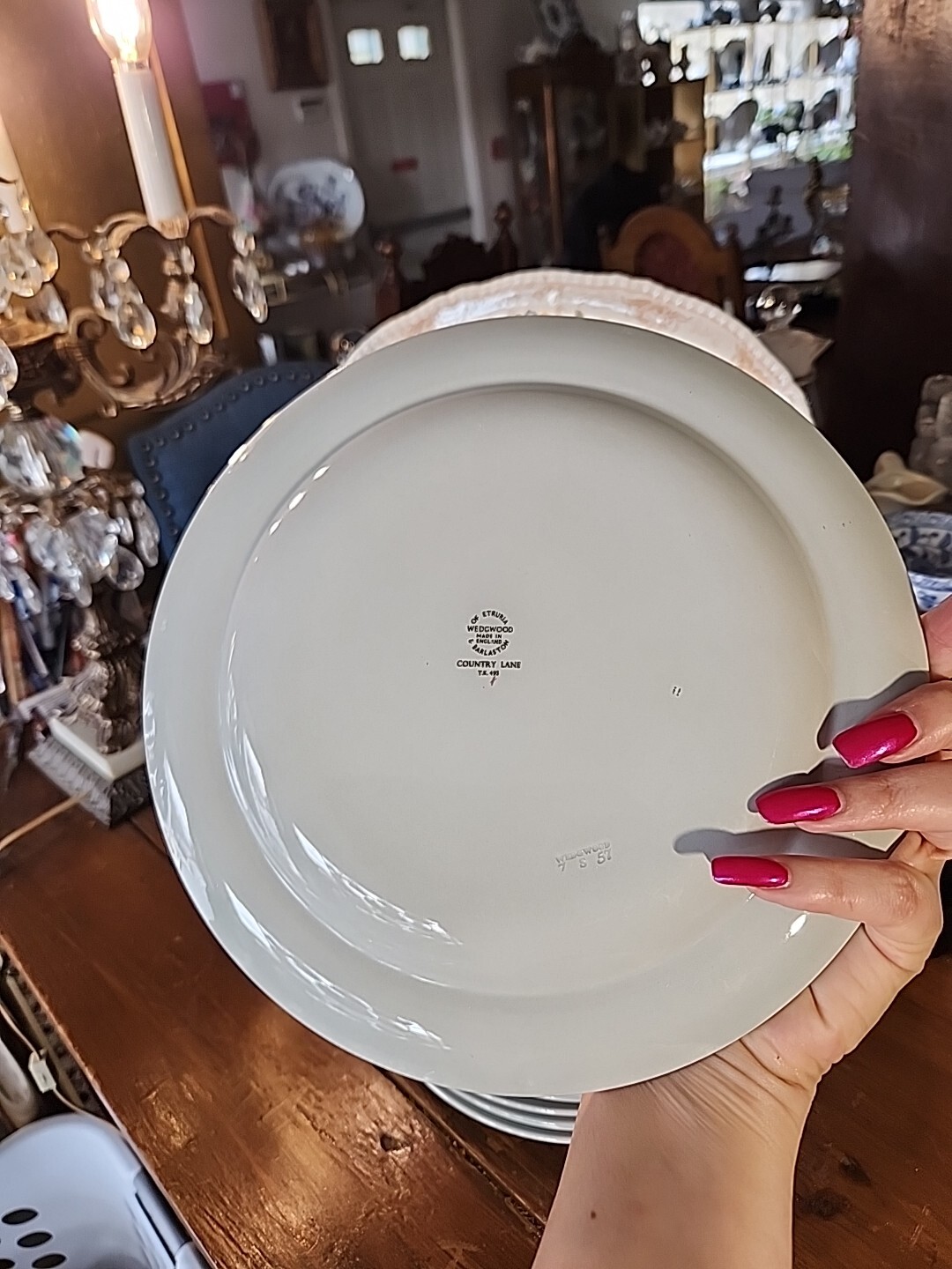 Botanical Wedgwood Etruria Country Lane Dinner Plate, Vintage Farmhouse Country