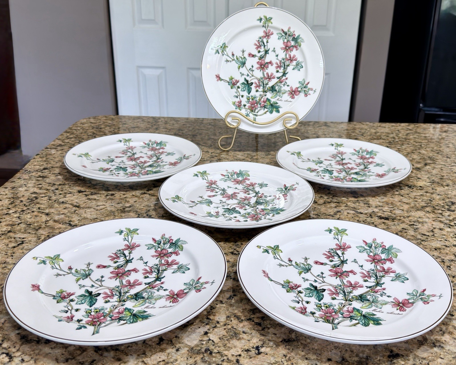 VTG Villeroy Boch Botanica Malva Silvestris 6 Dinner Plates 10-3/8 Luxembourg