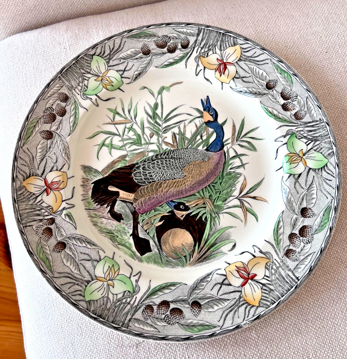 Adams China Audubon Birds Of America Canada Goos 10.5″ Floral Border