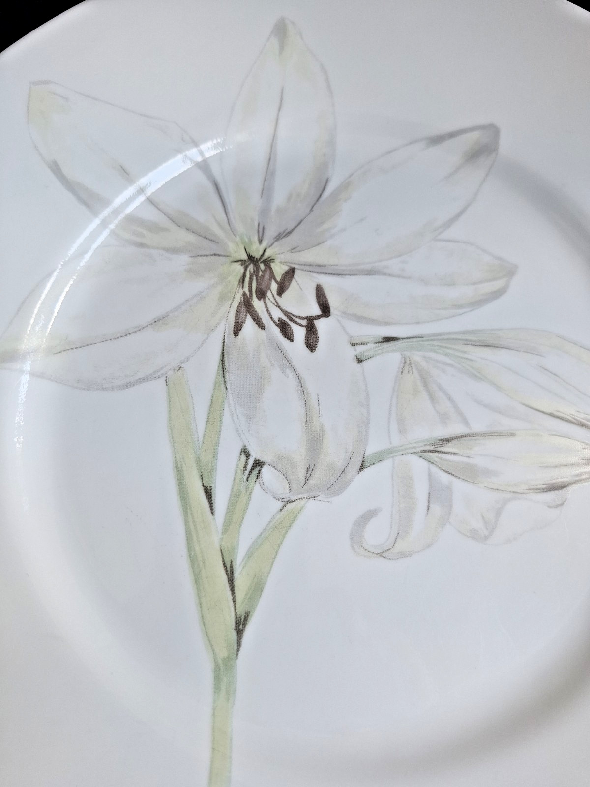 Corelle White Flower Lily Dinner Plates Set of 2 Retired 10.75″ Garden Party