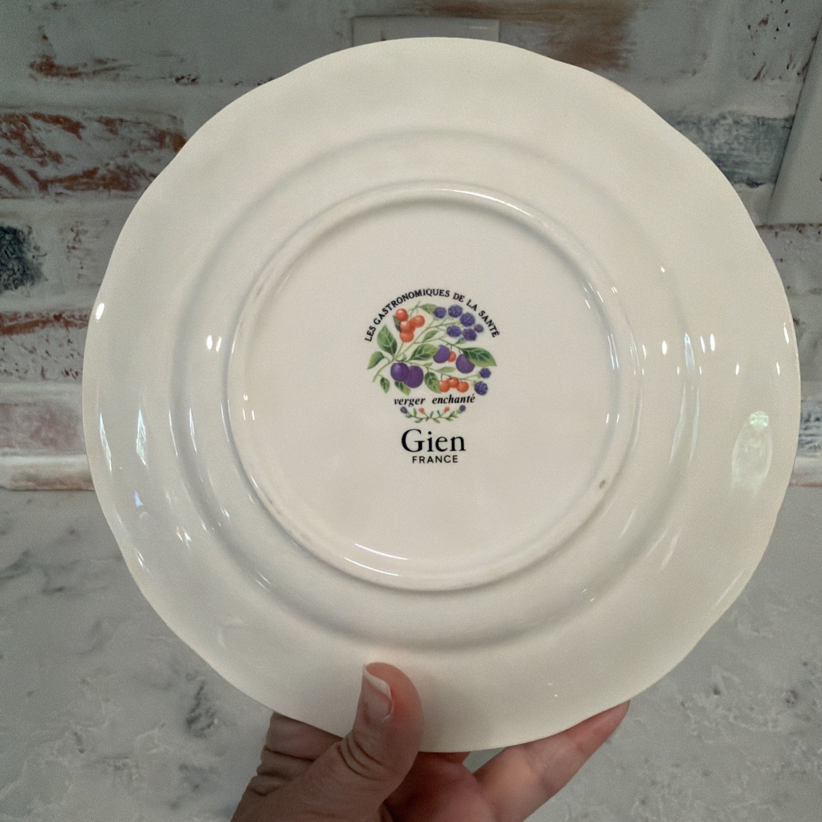 6 VTG Gien China France Les Gastronomiques de la Sante Salad Dessert Plate Set