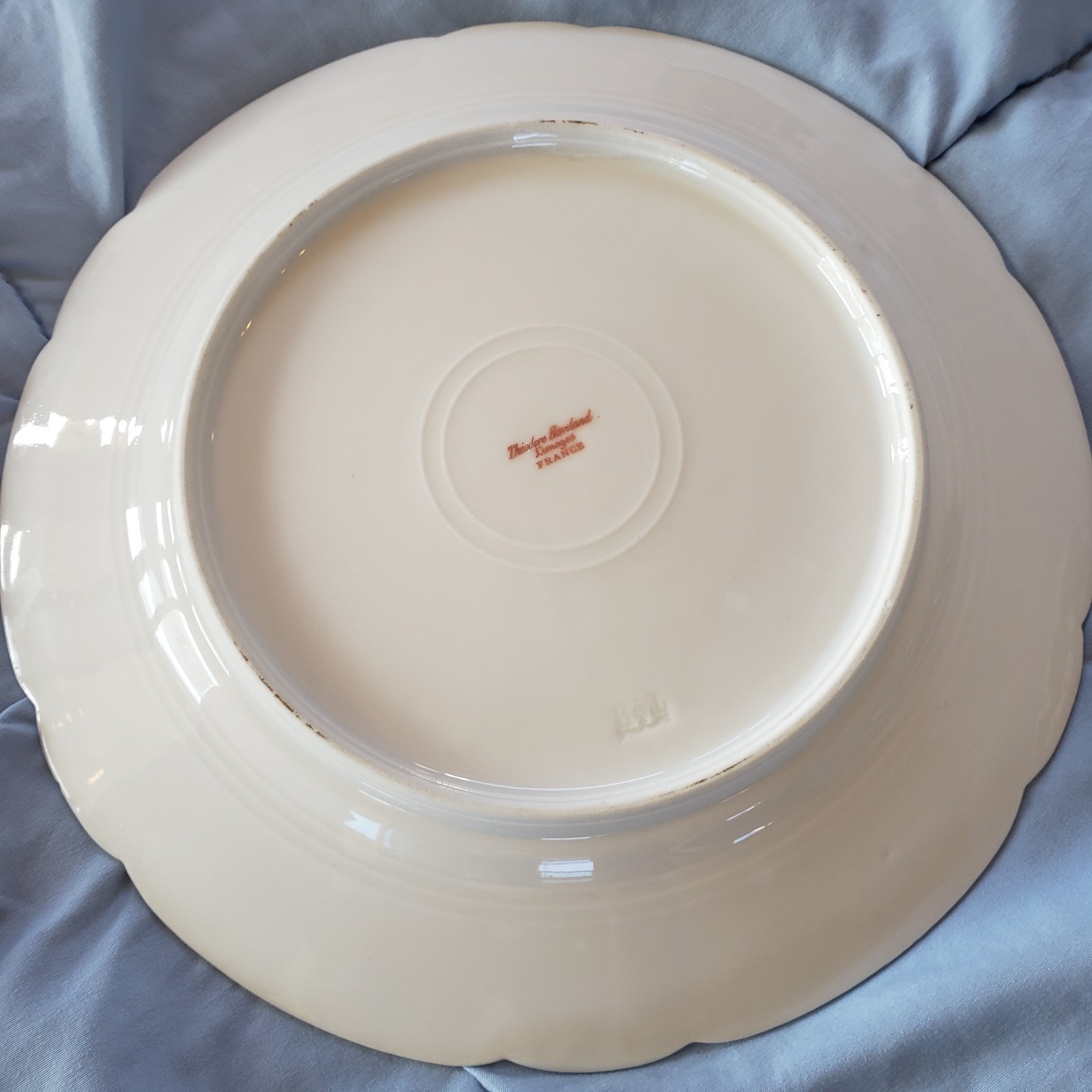 Theodore Haviland Limoges France Set of 12 Antique Plates French Porcelain