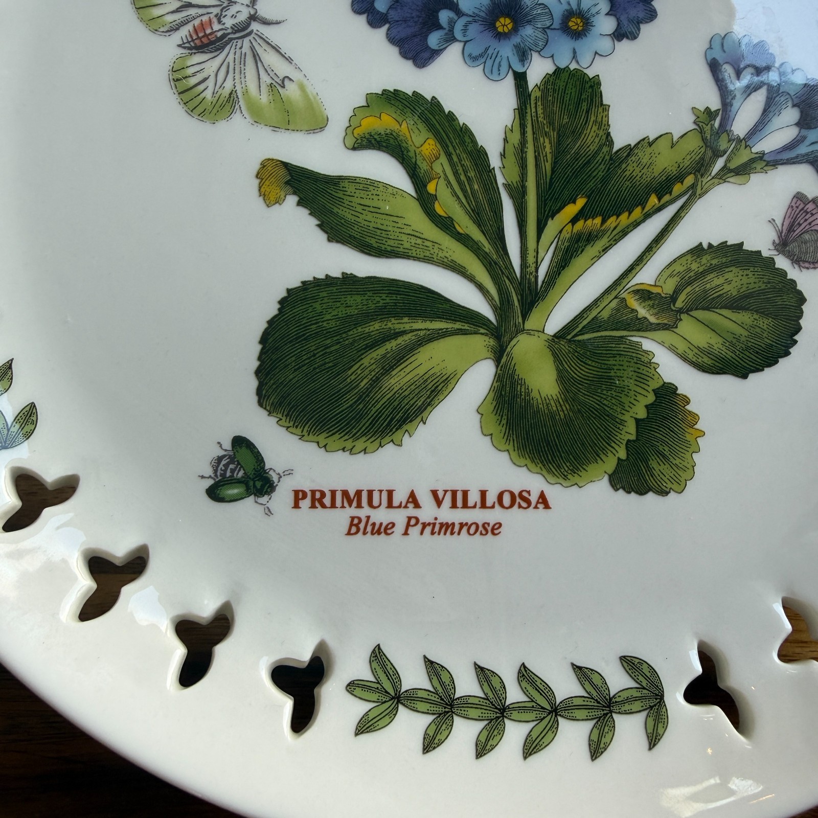 Botanic Garden Portmeirion Pierced Edge Plates 8.5″ Salad/Dessert- Set of 3