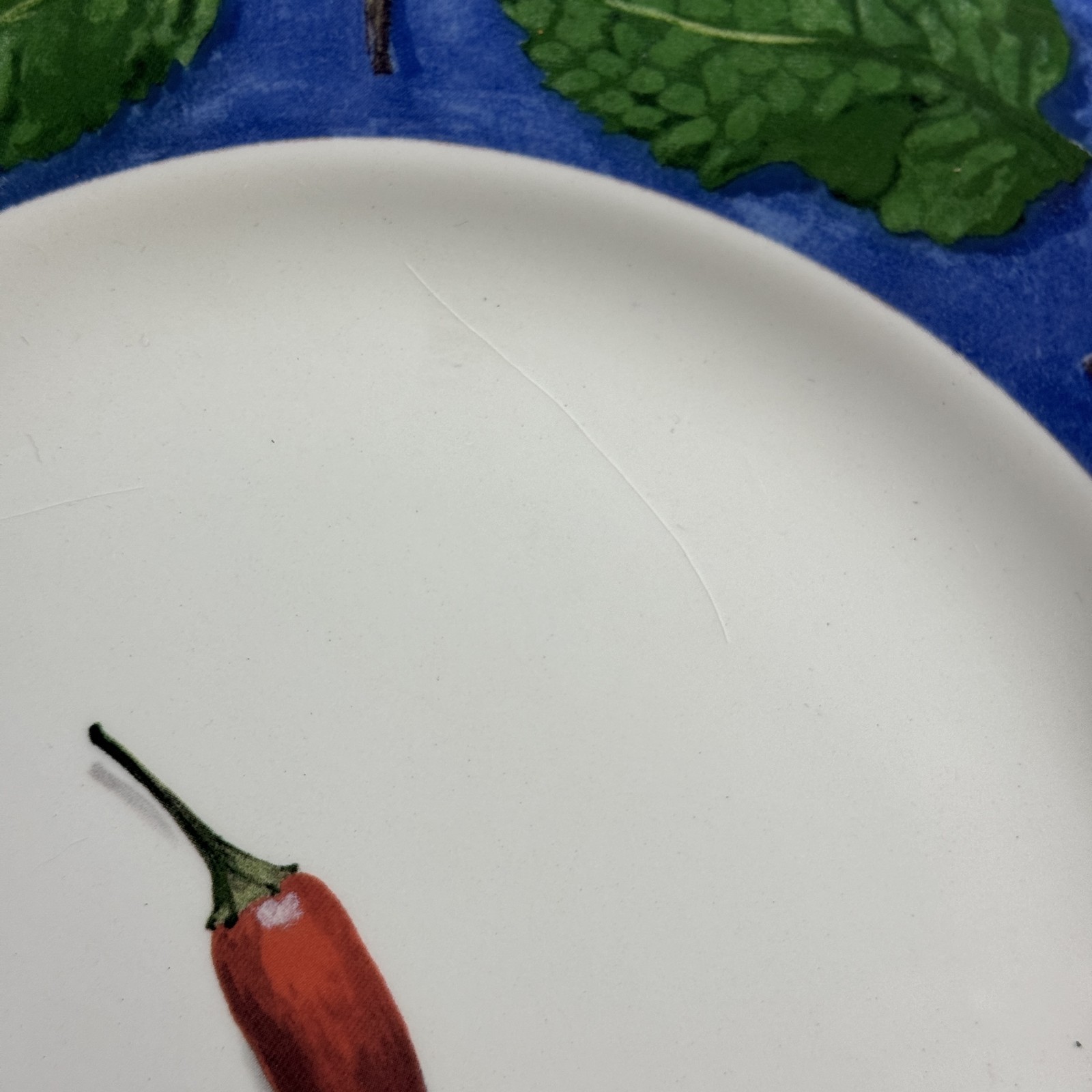 Set Of 6 POIVRE ET SEL BLUE Salad Plates 8.75″ Vintage Faiencerie De Gien France