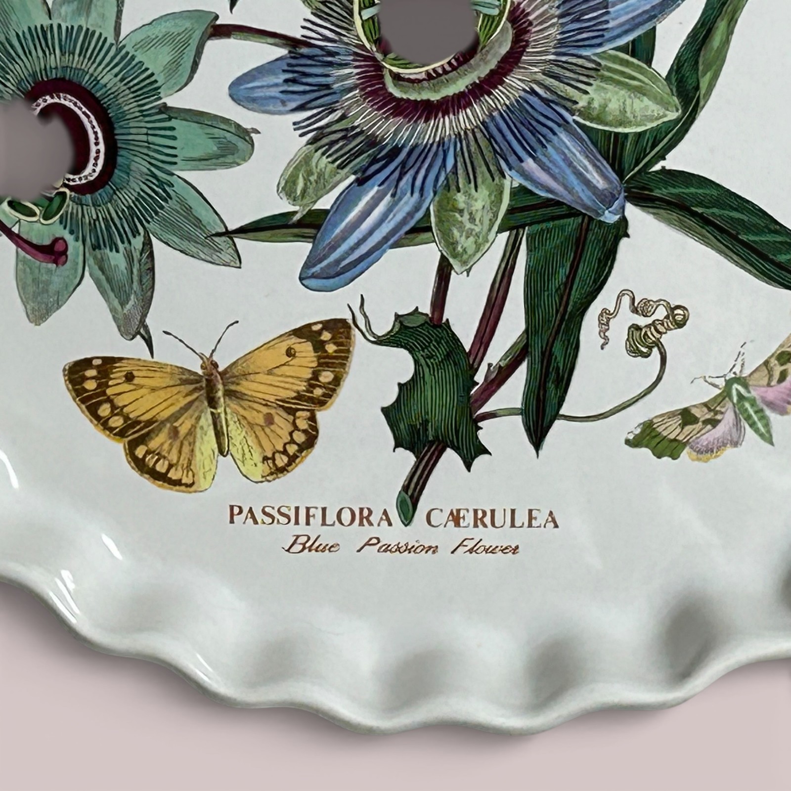Portmeirion Botanic Garden Quiche Dish Passiflora Caerulea Blue Passion Flower