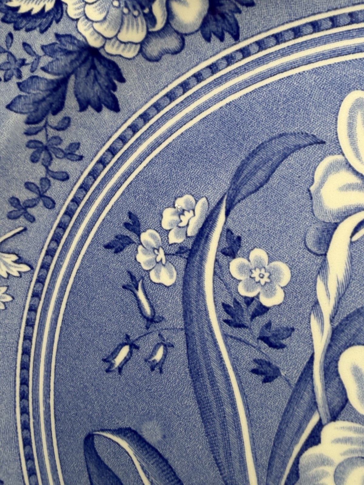 The Spode Blue Room Collection “Botanical” Plate Made In England 10.5″