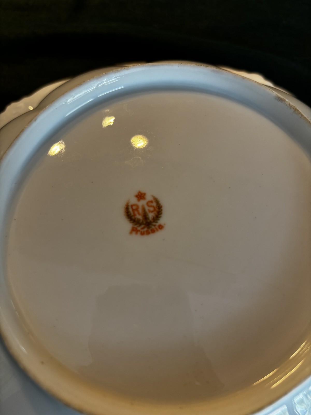 Beautiful RS Prussia Antique Large Deep Floral Bowl 10″ Red Mark PERFECT Cond.