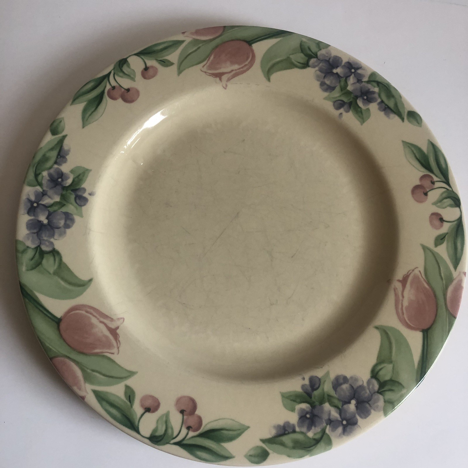 Pfaltzgraff Garden Party Impressions Dinner Plate 10.5″ Sold Separate 8 Availabl