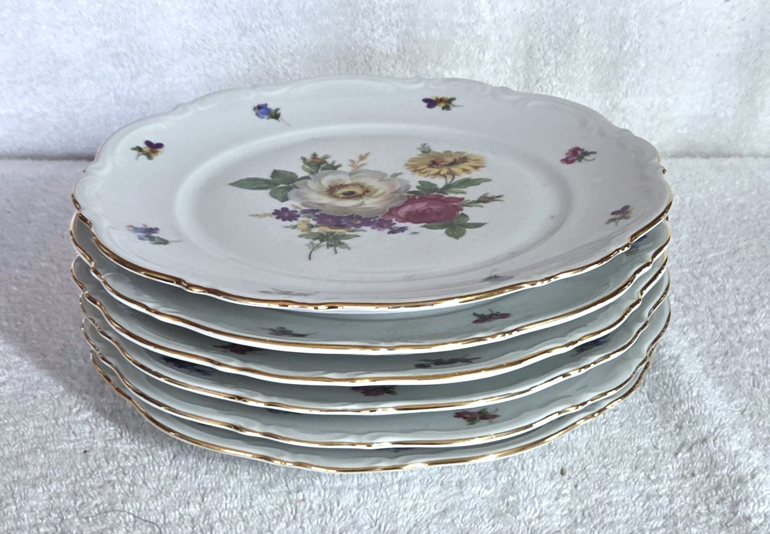 Set of 6 Vintage Mitterteich Meissen Floral 10 1/2” Dinner Plate