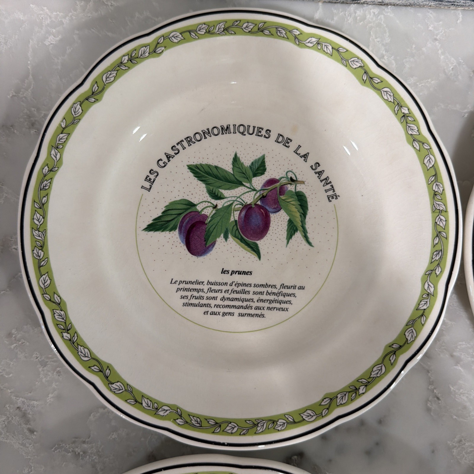6 VTG Gien China France Les Gastronomiques de la Sante Salad Dessert Plate Set