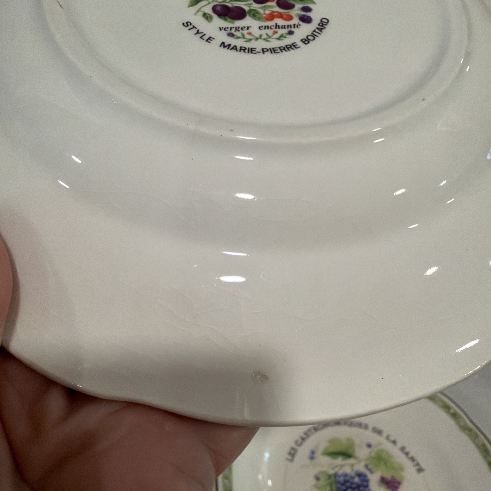 6 VTG Gien China France Les Gastronomiques de la Sante Salad Dessert Plate Set