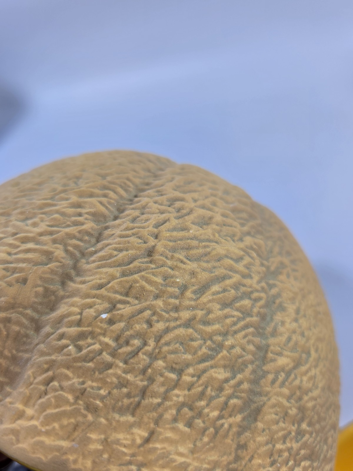 Set of 6 Cantaloupe Melon Bowls Green Rind Orange Interior Sandstone Creations