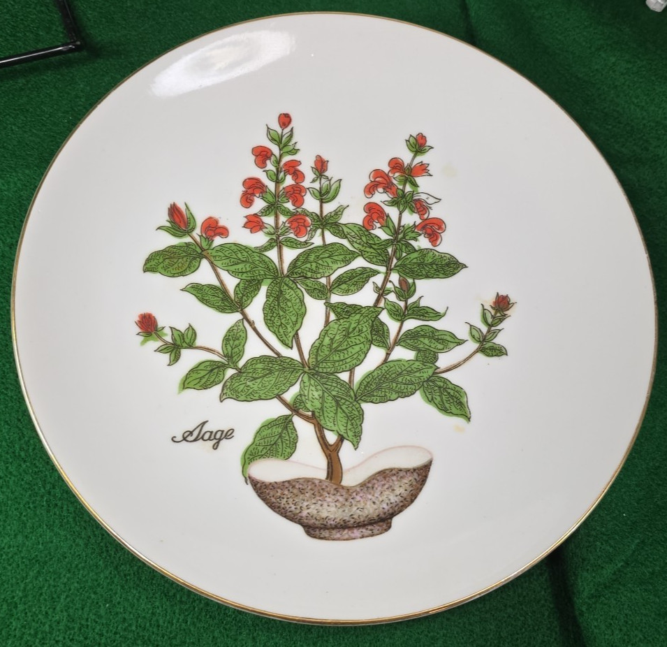 Vtg Herb Garden Wall Hanging Plates Set 4 Japan Parsley Mustard Sage Chives Deco